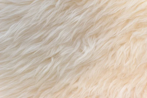 Beyaz Yumuşak Yün Dokusu Dikişsiz Pamuk Hafif Doğal Koyun Yünü — Stok fotoğraf