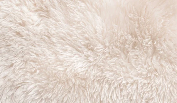 White Wool Texture Background Cotton Wool White Natural Sheep Wool — Stock Photo, Image