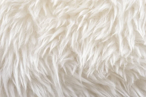 White wool texture background, cotton wool, white natural sheep wool, beige fluffy fur, fragment white carpet, close-up light wool with detail of woven pattern, factory fabric material with a twist