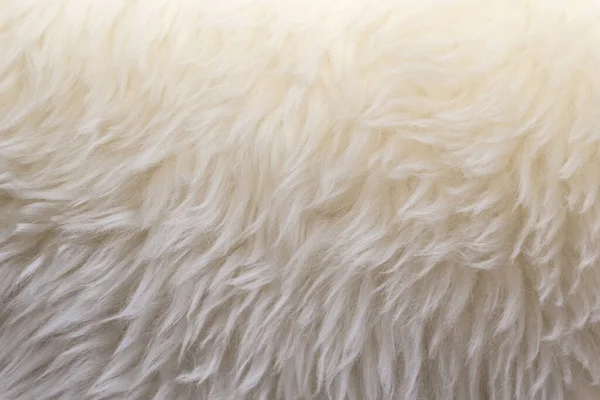 Λευκό Μαλλί Υφή Φόντο Μαλλί Βαμβάκι Λευκό Φυσικό Μαλλί Πρόβατα — Φωτογραφία Αρχείου