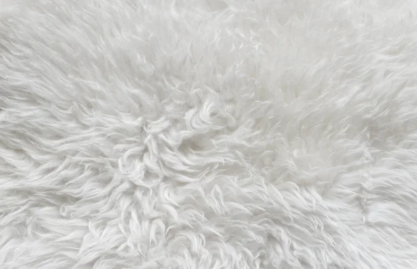 white wool texture background, cotton wool, close-up white fleece, light natural sheep wool, texture of white fluffy fur, white nappy long wool coat, beige color carpet, macro