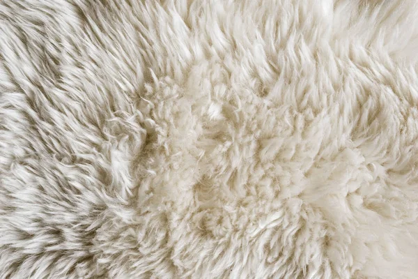 采购产品白色羊毛纹理背景 棉羊毛 白色羊毛 轻便的天然羊毛 白色绒毛的纹理 白色的尿布长羊毛外套 米色地毯 特写宏观 — 图库照片