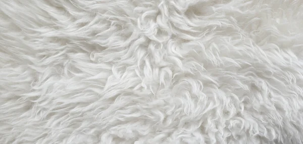 white wool texture background, cotton wool, white fleece, light natural sheep wool, texture of white fluffy fur, white  nappy long wool coat, beige color carpet, close-up macro