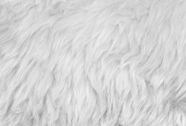 white wool texture background, light natural sheep wool, texture of white fluffy fur, close up of a long wool carpet