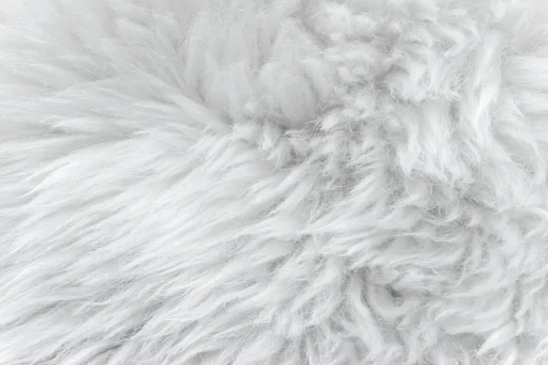 White fur Stock Photos, Royalty Free White fur Images