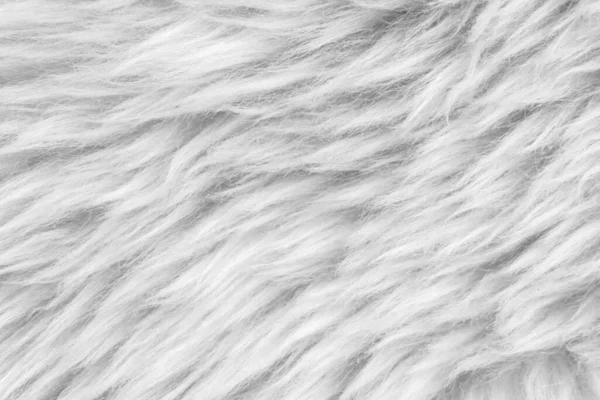 Fundo Textura Branca Ovelha Natural Leve Textura Pele Macia Branca — Fotografia de Stock