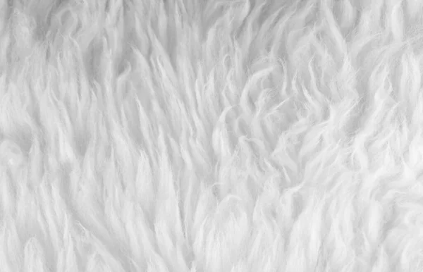 Premium Photo  White clean wool texture background light natural