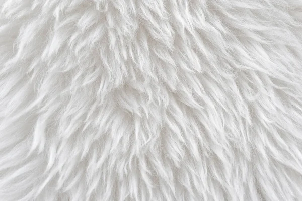 Weiße Wolle Mit Weißer Oberseite Textur Hintergrund Leichte Natürliche Schafwolle — Stockfoto