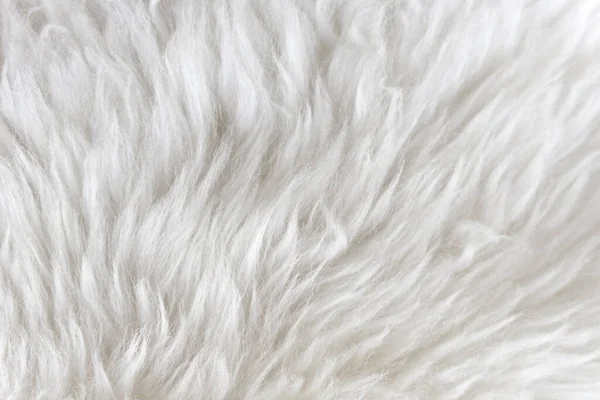 Біла Шерсть Білим Тлом Верхньої Текстури Легка Натуральна Овеча Шерсть — стокове фото