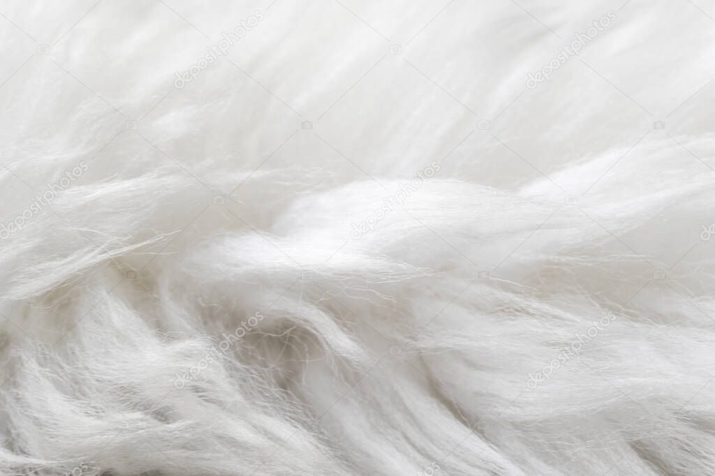 White fluffy sheep wool texture, natural wool background, fur texture close-up for designers