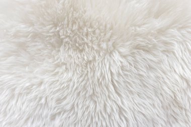 Beyaz üst desenli beyaz yün, açık doğal koyun yünü, dikişsiz beyaz pamuk, tasarımcılar için tüylü kürk dokusu, yakın plan beyaz yün halı.