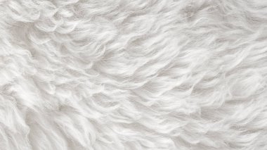 Beyaz üst desenli beyaz yün, açık doğal koyun yünü, dikişsiz beyaz pamuk, tasarımcılar için tüylü kürk dokusu, yakın plan beyaz yün halı.