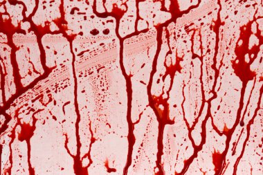 Beyaz arka planda kanlı sıçramalar ve damlalar. Damlayan ve takip eden kırmızı kan (boya)