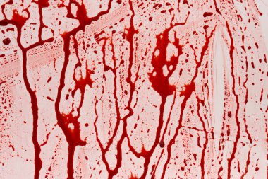 Beyaz arka planda kanlı sıçramalar ve damlalar. Damlayan ve takip eden kırmızı kan (boya)