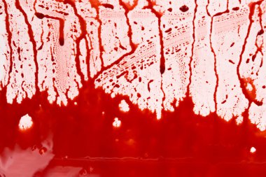 Beyaz arka planda kanlı sıçramalar ve damlalar. Damlayan ve takip eden kırmızı kan (boya)
