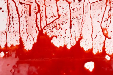 Beyaz arka planda kanlı sıçramalar ve damlalar. Damlayan ve takip eden kırmızı kan (boya)