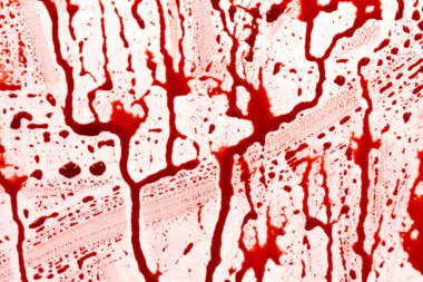 Beyaz arka planda kanlı sıçramalar ve damlalar. Damlayan ve takip eden kırmızı kan (boya)