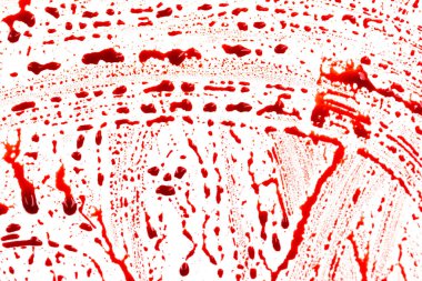 Beyaz arka planda kanlı sıçramalar ve damlalar. Damlayan ve takip eden kırmızı kan (boya)