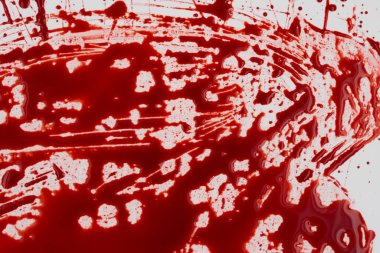 Beyaz arka planda kanlı sıçramalar ve damlalar. Damlayan ve takip eden kırmızı kan (boya)