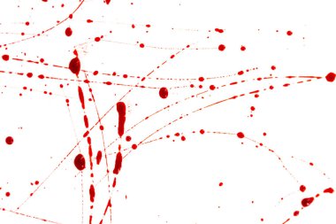 Beyaz arka planda kanlı sıçramalar ve damlalar. Damlayan ve takip eden kırmızı kan (boya)