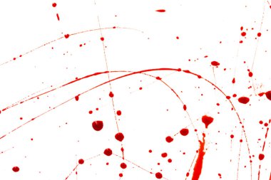 Beyaz arka planda kanlı sıçramalar ve damlalar. Damlayan ve takip eden kırmızı kan (boya)