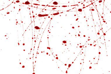 Beyaz arka planda kanlı sıçramalar ve damlalar. Damlayan ve takip eden kırmızı kan (boya)