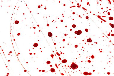 Beyaz arka planda kanlı sıçramalar ve damlalar. Damlayan ve takip eden kırmızı kan (boya)