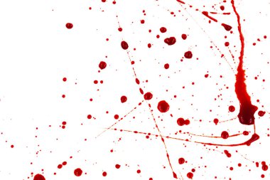 Beyaz arka planda kanlı sıçramalar ve damlalar. Damlayan ve takip eden kırmızı kan (boya)