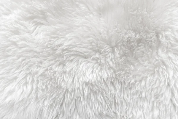白い上質感の背景を持つ白いウール 軽い天然羊のウール 白いシームレスコットン デザイナーのためのふわふわの毛皮の質感 クローズアップフラグメント白いウールカーペット — ストック写真
