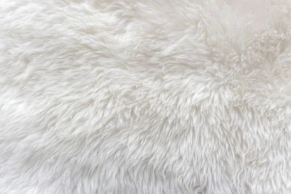 White wool with white top texture background, light natural sheep wool, white seamless cotton, texture of fluffy fur for designers, close-up fragment white wool carpet