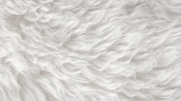白い上質感の背景を持つ白いウール 軽い天然羊のウール 白いシームレスコットン デザイナーのためのふわふわの毛皮の質感 クローズアップフラグメント白いウールカーペット — ストック写真