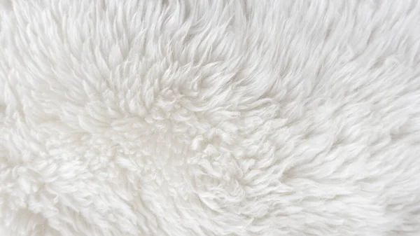 Біла Шерсть Білим Тлом Верхньої Текстури Легка Натуральна Овеча Шерсть — стокове фото