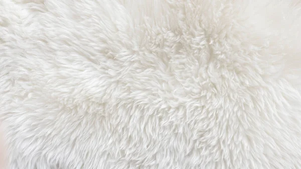 White Wool White Top Texture Background Light Natural Sheep Wool — Stock Photo, Image