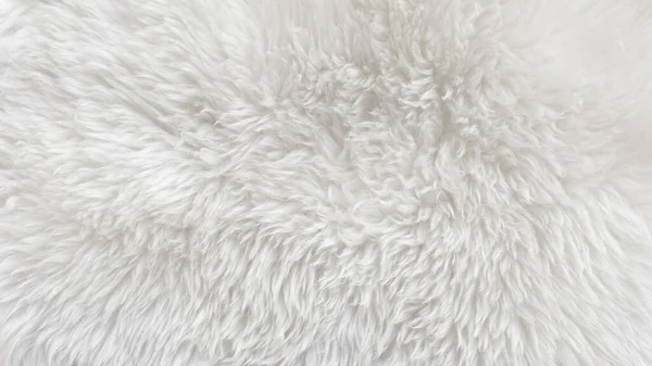 Premium Photo  White clean wool texture background light natural sheep  wool white seamless cotton texture of fluffy fur for designers closeup  fragment white wool carpetx9