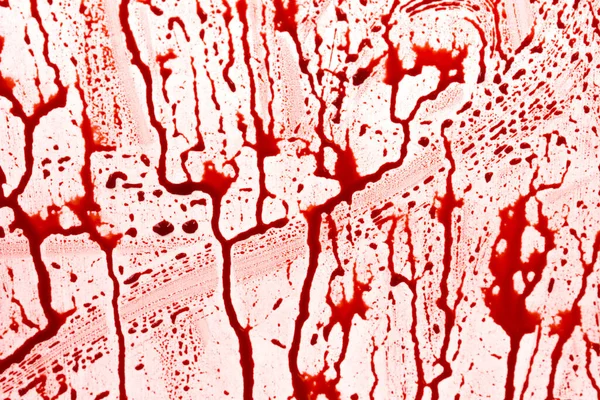 Bloody Splashes Drops White Background Dripping Red Blood Paint — Stock Photo, Image