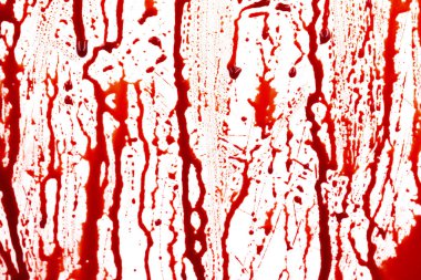 Beyaz arka planda izole edilmiş kan damlıyor. Akan kırmızı kan damlalar, damlalar ve izler