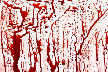 Beyaz arka planda izole edilmiş kan damlıyor. Akan kırmızı kan damlalar, damlalar ve izler