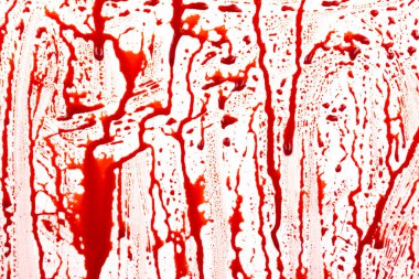 Beyaz arka planda izole edilmiş kan damlıyor. Akan kırmızı kan damlalar, damlalar ve izler