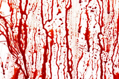 Beyaz arka planda izole edilmiş kan damlıyor. Akan kırmızı kan damlalar, damlalar ve izler