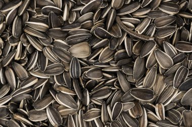 Çizgili ayçekirdeği arkaplan dokusu