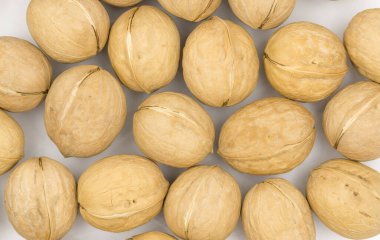 Beyaz arkaplanda izole edilmiş cevizler