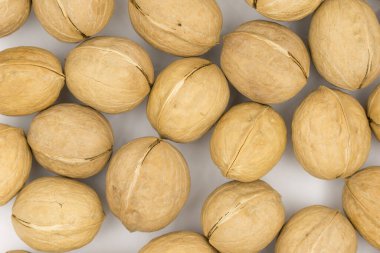 Beyaz arkaplanda izole edilmiş cevizler