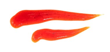 Beyaz arka planda izole edilmiş domates ketçap sosu. Noktalar ve çizgiler ketçap dokusu