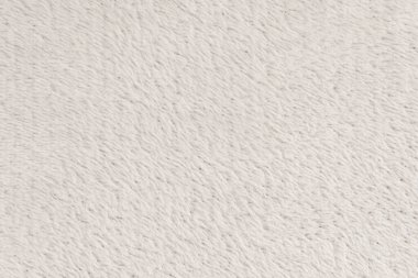 Beyaz desenli beyaz doğal yün. Beyaz, pürüzsüz, yün ekose. Tasarımcılar için tüylü kürk dokusu, yakın plan beyaz yün halı