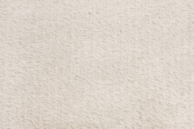 Beyaz desenli beyaz doğal yün. Beyaz, pürüzsüz, yün ekose. Tasarımcılar için tüylü kürk dokusu, yakın plan beyaz yün halı