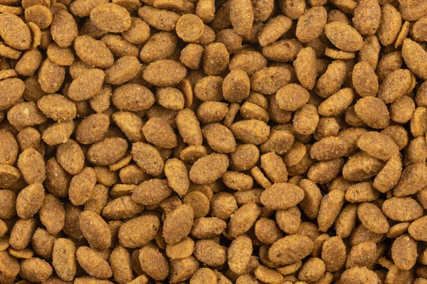 Food Animals Background Dry Cat Dog Food Texture Pet Meal — Stock Photo, Image