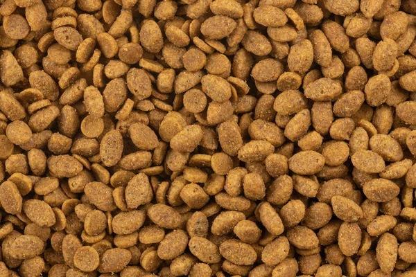 Food Animals Background Dry Cat Dog Food Texture Pet Meal — Stock Photo, Image