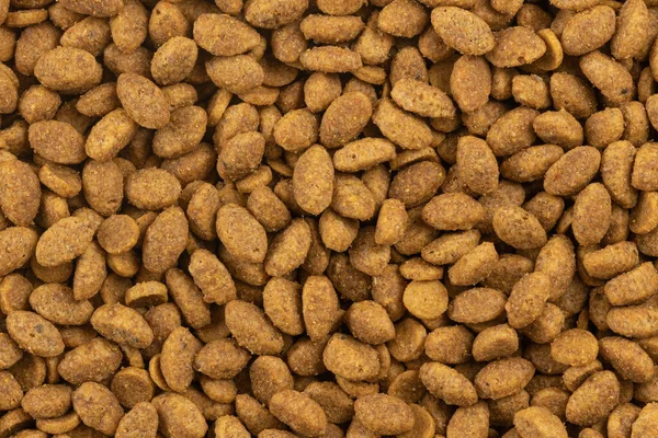 Food Animals Background Dry Cat Dog Food Texture Pet Meal — Stock Photo, Image