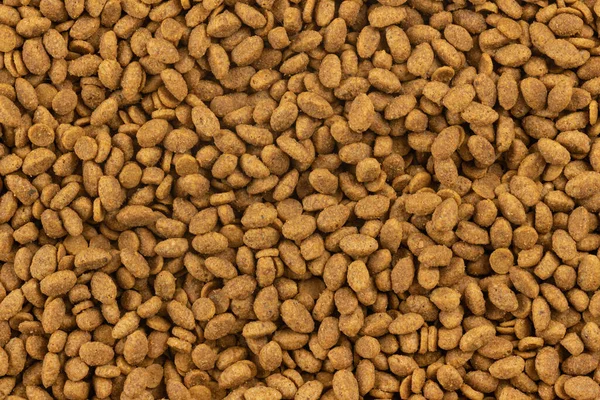 Alimento Para Animales Fondo Textura Comida Seca Para Gatos Perros —  Fotos de Stock