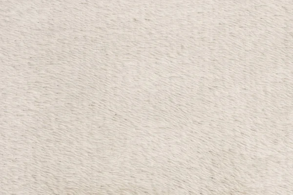 白色天然羊毛 白色质感背景 白色无缝毛绒格子呢 设计师用蓬松毛皮的质地 特写片断白色羊毛地毯 — 图库照片